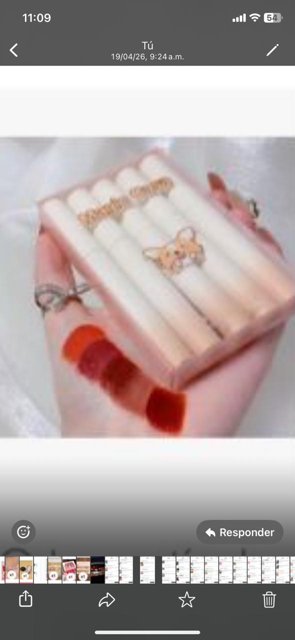 Brillo de labios mate larga duración set de 5 piezas