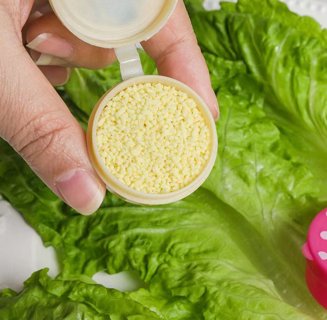 Set de mini moldes Frases (4 pzs)