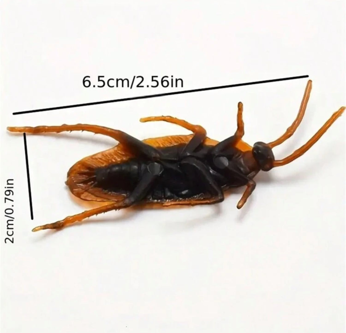 Cucarachas Decorativas (5 pzs)