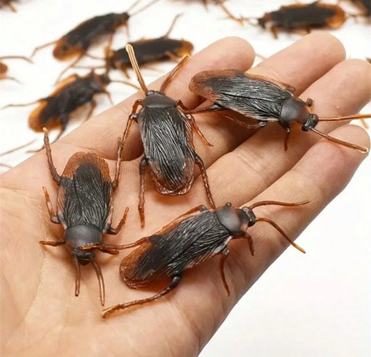 Cucarachas Decorativas (5 pzs)