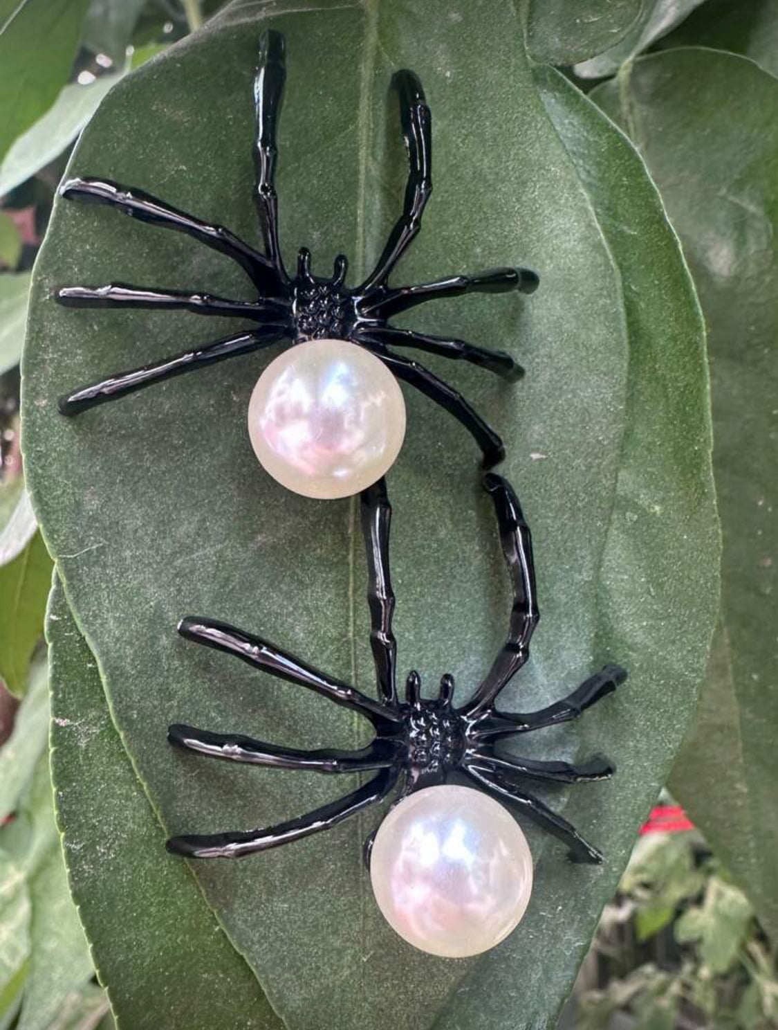 Aretes Spider