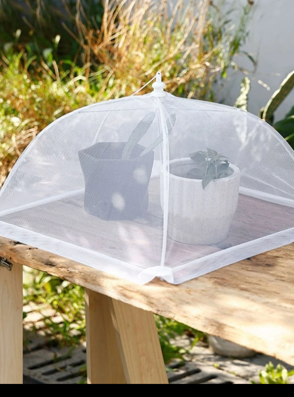 Cubierta para comida