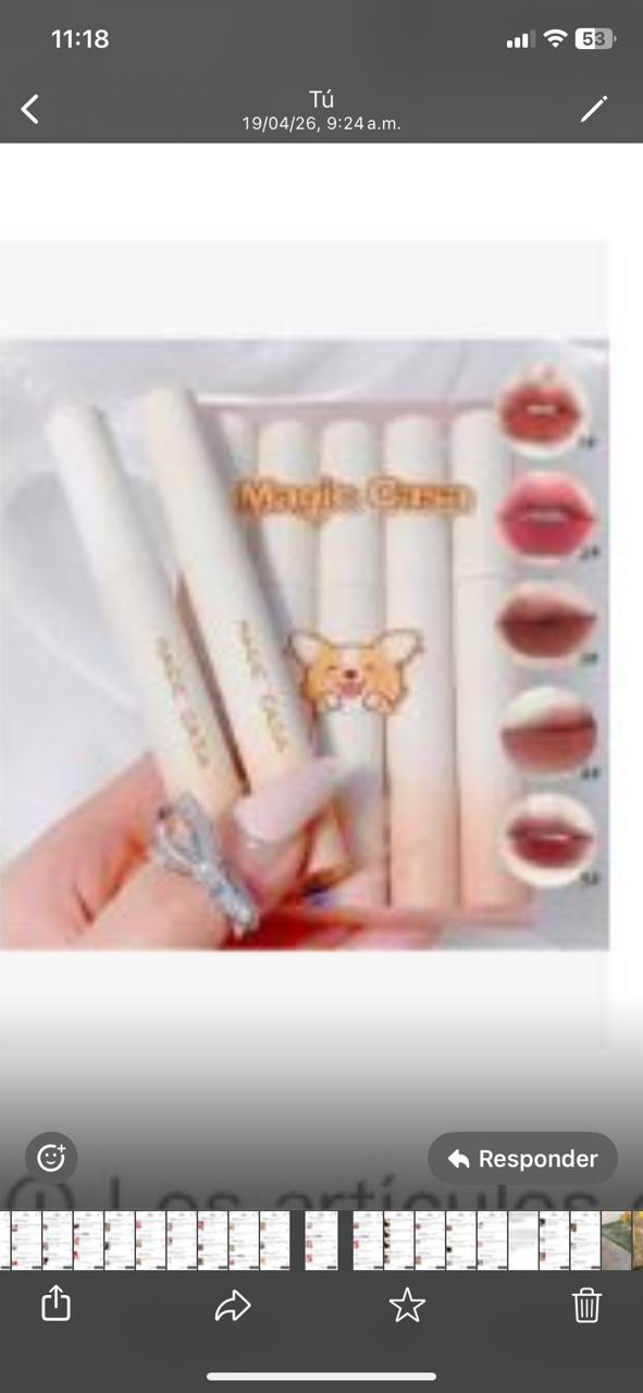 Brillo de labios mate en pug, set de 5 piezas