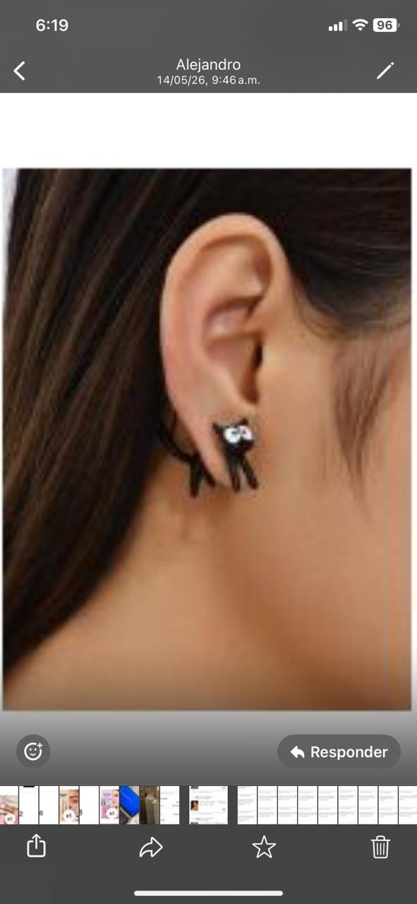 Aretes de gato blanco y negro